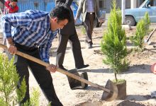گزارش تصویری مراسم روز درخت کاری و تقدیر از نیروهای باغبانی دانشگاه